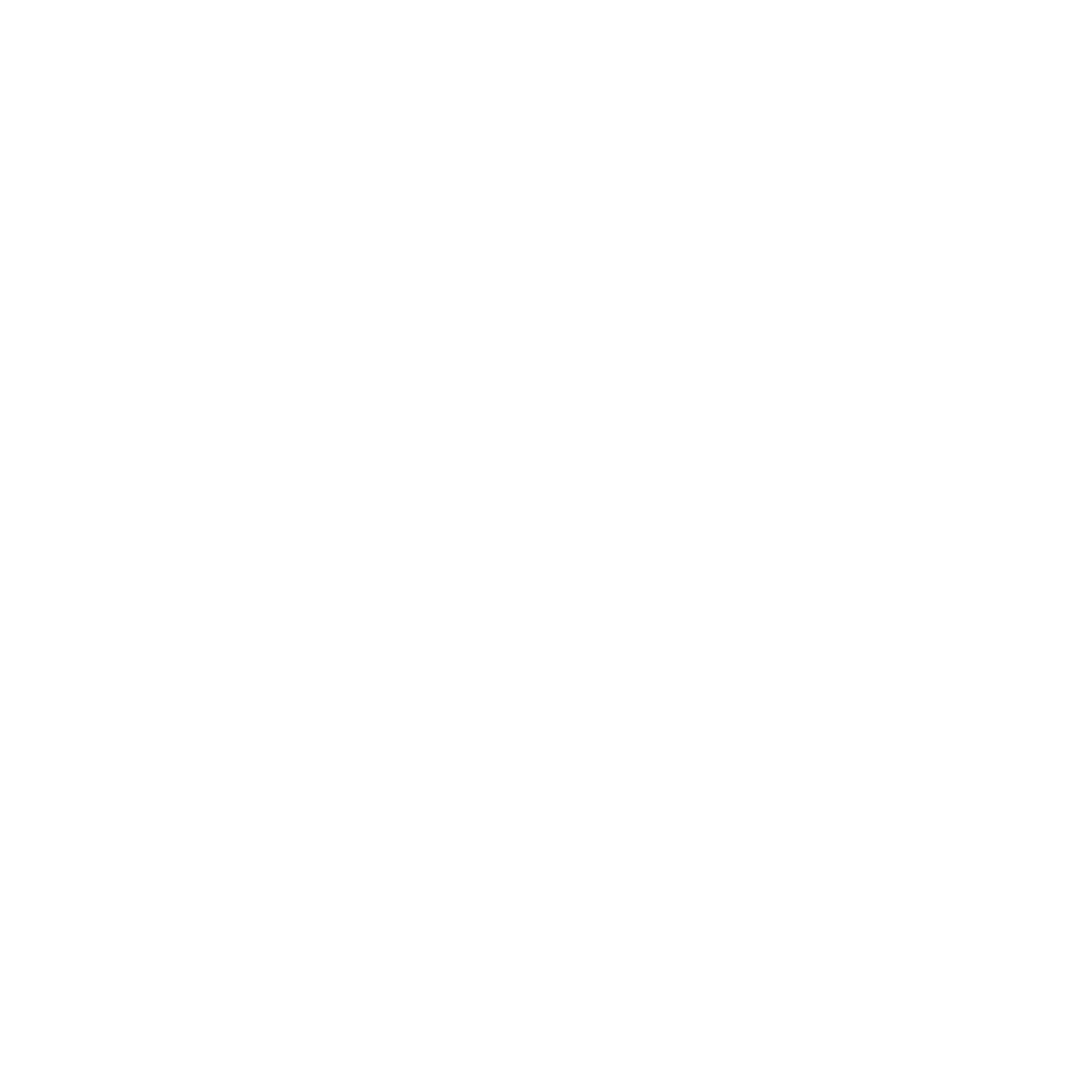 Flash Logo